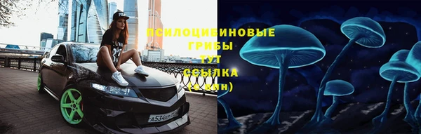 Альфа ПВП Богородск