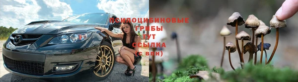 стаф Богородицк
