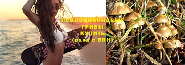 Альфа ПВП Богородск