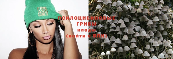 стаф Богородицк