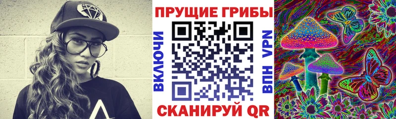 Псилоцибиновые грибы прущие грибы  Купить где  Голицыно 